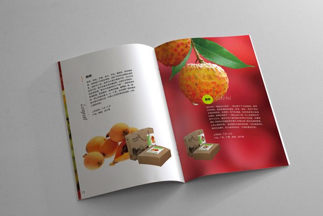 宣傳冊設計一般一頁多少錢？宣傳冊的特點有哪些？
