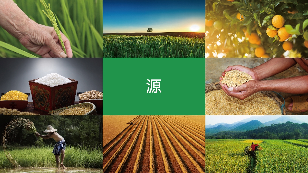 農(nóng)產(chǎn)品品牌設(shè)計(jì)技巧有哪些？怎樣塑造品牌形象