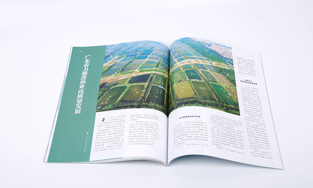 樣本宣傳冊(cè)設(shè)計(jì)制作多大尺寸？