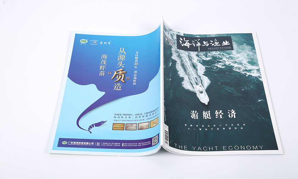 一個畫冊設(shè)計如何？